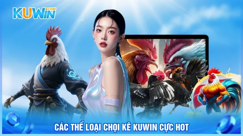Các thể loại chọi kê Kuwin cực hot