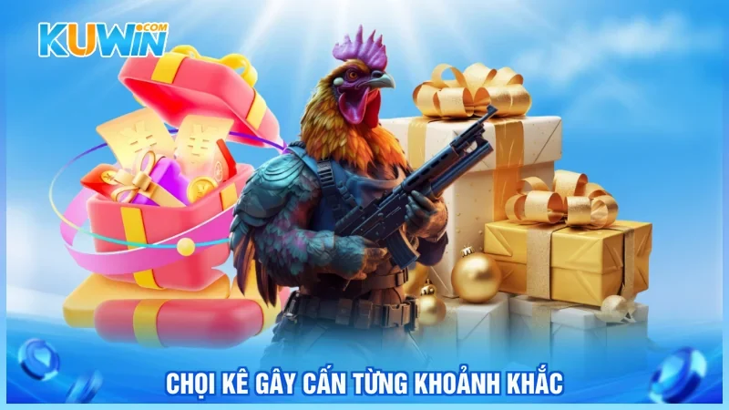 Chọi kê gây cấn từng khoảnh khắc