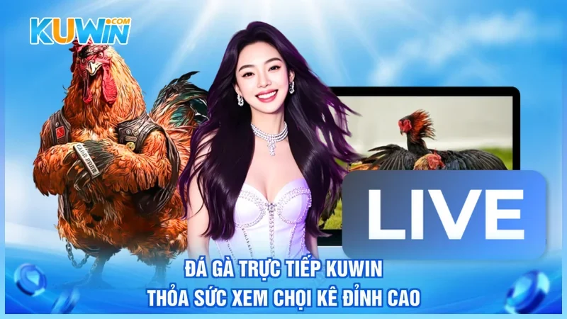 Đá Gà Trực Tiếp Kuwin - Thỏa Sức Xem Chọi Kê Đỉnh Cao