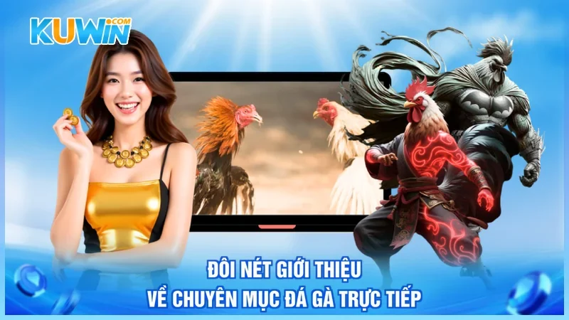 Đôi nét giới thiệu về chuyên mục đá gà trực tiếp