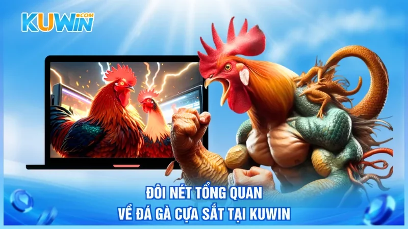 Đôi nét tổng quan về đá gà cựa sắt tại Kuwin