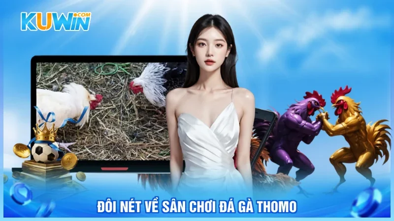 Đôi nét về sân chơi đá gà thomo