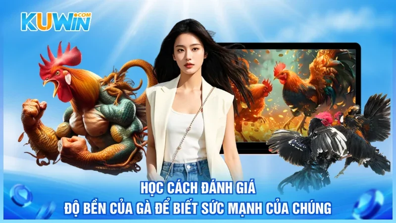 Học cách đánh giá độ bền của gà để biết sức mạnh của chúng